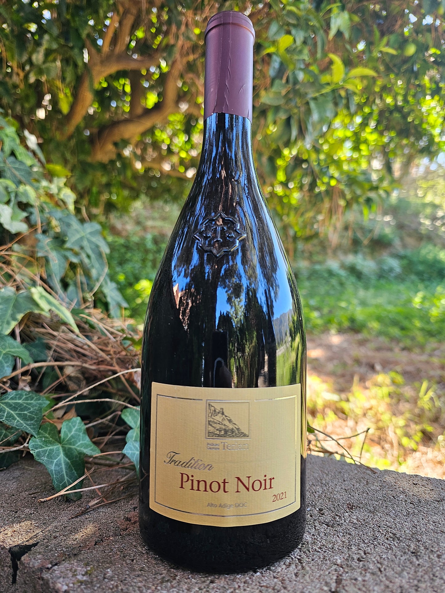 Pinot Noir Alto Adige DOC Terlan