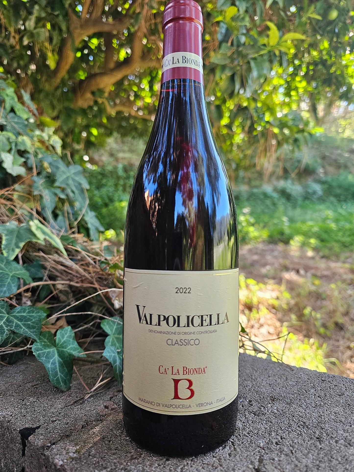 Valpolicella Classico DOC Ca' la Bionda