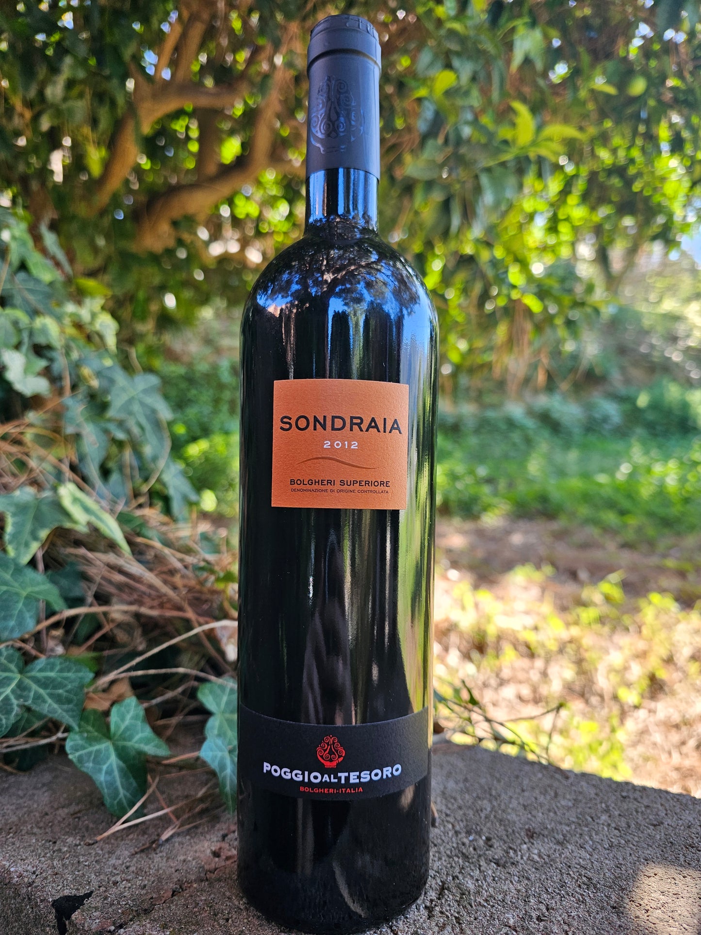 Sondraia Bolgheri Superiore DOC Poggio al Tesoro